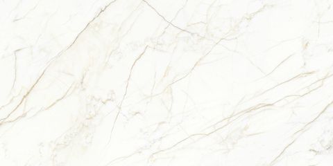 Европа Голд Керамогранит белый 60х120 матовый карвинг