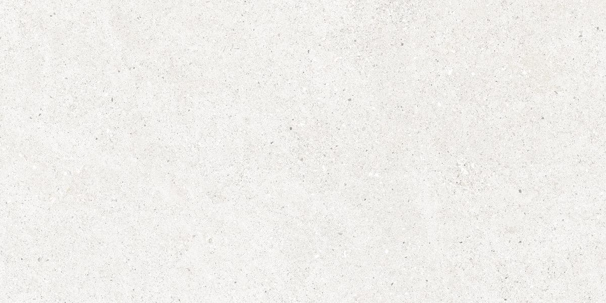 Перла Бианко Керамогранит светло-серый CR6012G0481R 59,5х119,1 матовый