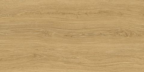 Дориан Керамогранит янтарный LP6012G0821R8 59,5х119,1 матовый+гл.чернила